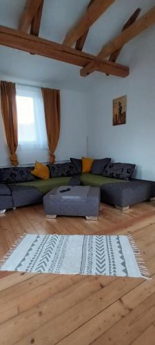 salon z kanapą i dywanem na podłodze w obiekcie Ferienhaus Familienzeit w mieście Schiefling am See