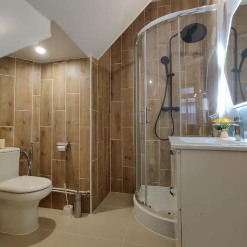 une salle de bain avec une douche, des toilettes et un lavabo dans l'établissement T2 cosy Jean Jaurès et Gare Matabiau, à Toulouse