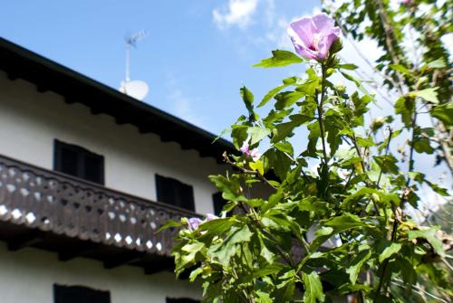 Κήπος έξω από το Casa Elisabetta