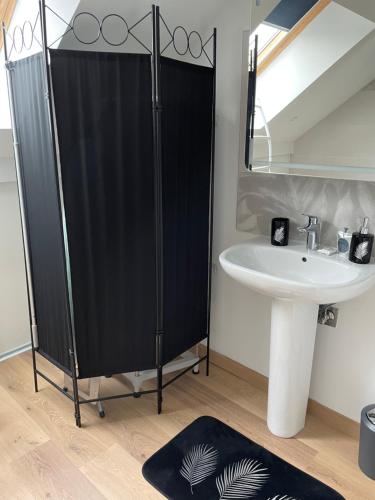 une salle de bain avec une douche avec un lavabo et un miroir dans l'établissement La Belle Mira vous attend !, à Metz