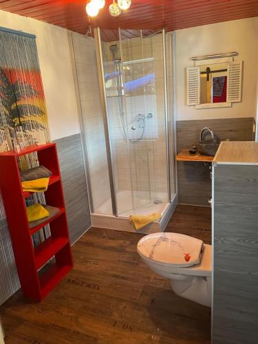a bathroom with a shower and a toilet at Hotel Schwarzer Adler in Heilbad Heiligenstadt
