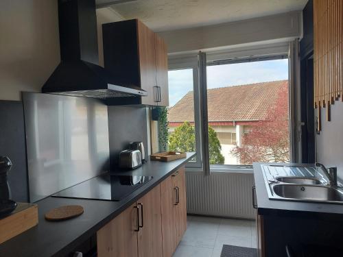 a kitchen with a sink and a large window at Appart'Hotel la Savoureuse in Belfort