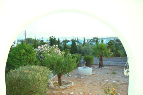Κήπος έξω από το Άνεσις διαμέρισμα στην Πάρο