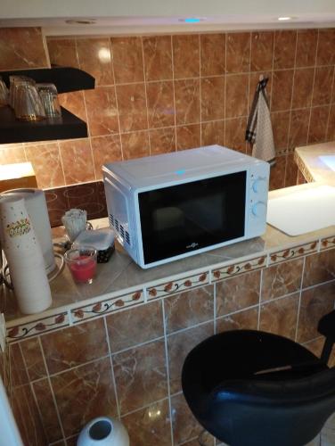 un four micro-ondes installé au-dessus d'un comptoir dans l'établissement Studio meublé avec piscine partagée, à La Ferté-Gaucher