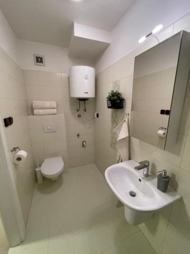 A bathroom at Na Kollárce