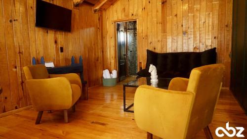 TV a/nebo společenská místnost v ubytování PINE TREE Mazamitla Hotel Boutique & Cabañas
