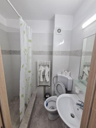 een badkamer met een toilet en een wastafel bij Garsoniera lux Lorena&Kevin in Piteşti