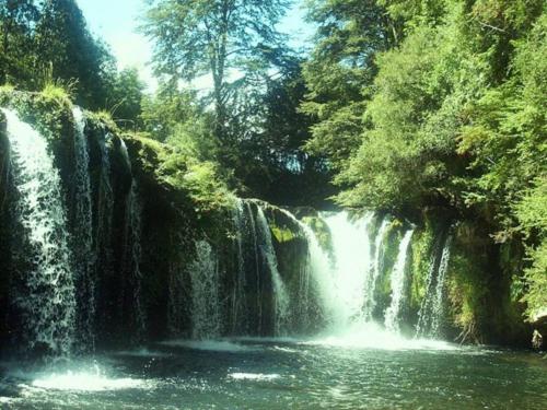 a waterfall in a forest next to a body of water at Cabaña Bello entorno natural! in Lago Ranco