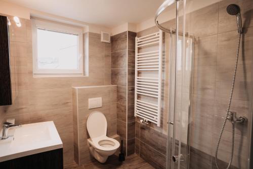 a bathroom with a shower and a toilet and a sink at Penzion Quattro in Ústí nad Orlicí