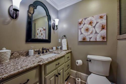 a bathroom with a toilet and a sink and a mirror at Big Al's Den in Tuscaloosa