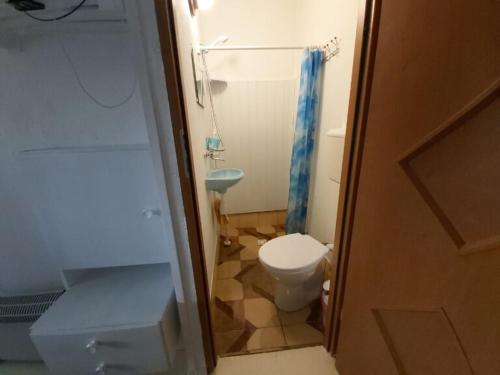 a small bathroom with a toilet and a shower at Siedlisko Urszulanka in Policzna