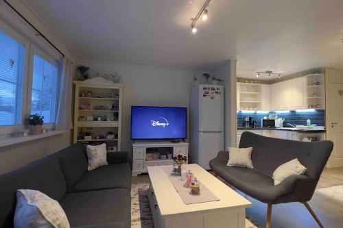 uma sala de estar com um sofá e uma televisão em Marta's Home-cozy appartment near the Airport em Andselv