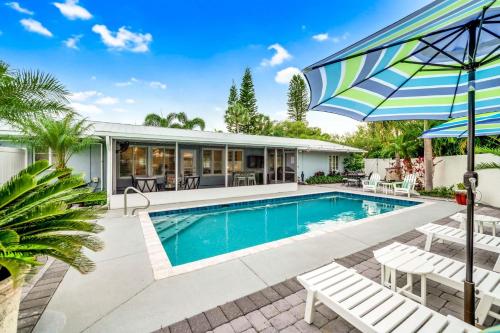 Blue Palm – Photos 2