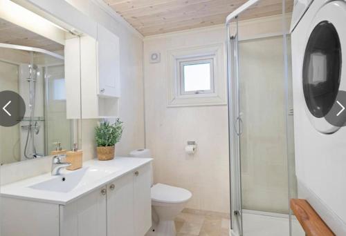 a bathroom with a toilet and a sink and a shower at Lovise Mountain Apartment in Stranda