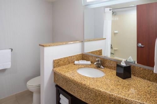 a bathroom with a sink with a mirror and a toilet at Courtyard by Marriott Miami Airport in Miami