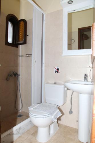 a bathroom with a toilet and a sink at Dionisis Apartments in Kounopetra