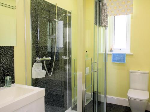 een badkamer met een douche, een toilet en een wastafel bij Riversdale Cottage in Saint Fillans