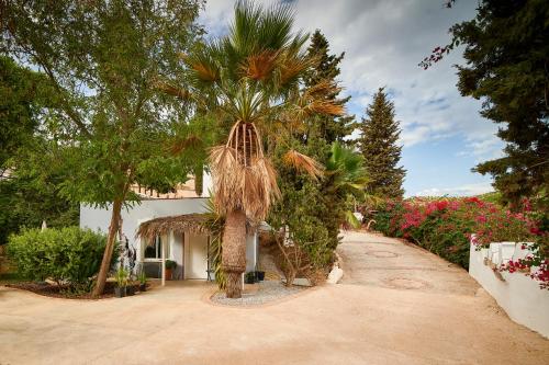 una casa con una palma accanto a un vialetto di Lovely Guesthouse in Benajarafe a Benajarafe