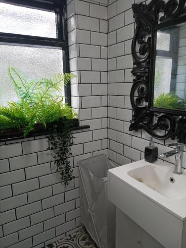 uma casa de banho com lavatório, espelho e plantas em Donegal hills view em Donegal
