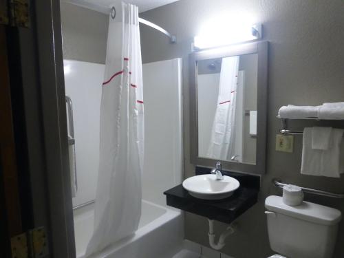 a bathroom with a sink and a toilet and a mirror at Red Roof Inn Greencastle South - Cloverdale in Cloverdale