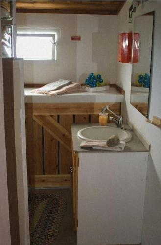 a small kitchen with a sink and a mirror at Um quarto da Casa Do Monte in Água de Alto