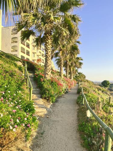 a dirt path with palm trees and flowers on a hill at *1era Línea 1er Piso* Jardín, Playa, Piscinas 6p in Puerto Velero