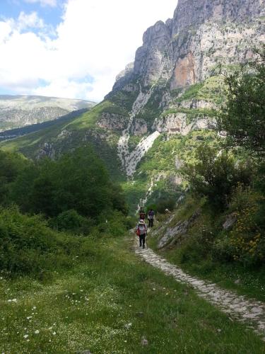 Gambar di galeri bagi Estia Tsialiki di Kato Pedina
