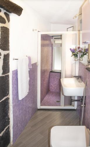 a bathroom with a shower with a sink and a toilet at I Coralli rooms & apartments in Monterosso al Mare