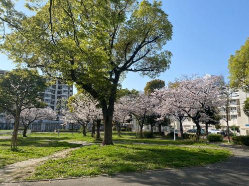 大阪市にあるALL TRUST2馆临近心斋桥道頓堀难波直达梅田世博會关西机场Usj全新独栋别墅四个卧室可住8人超大空间3卫2浴厨房设施齐全电视冰箱洗衣机空调配置齐全免费停车4分钟步行至今宫站の建物前の公園