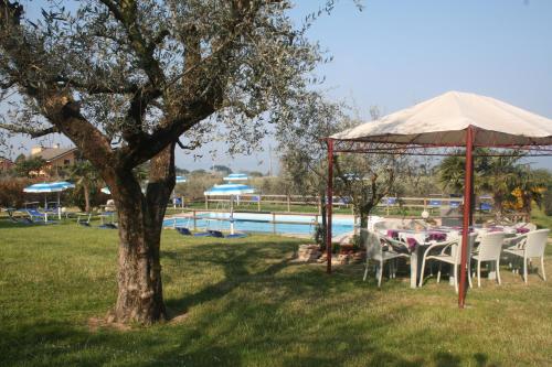 a table and chairs under an umbrella next to a pool at Agriturismo Il Giardino Degli Ulivi in Lazise