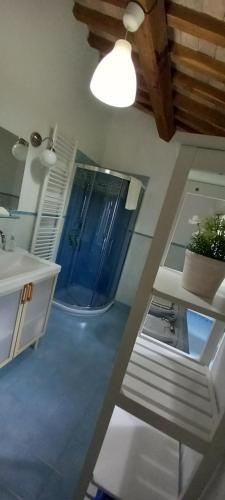 a bathroom with a blue shower in a room at Casolare di campagna in Viterbo