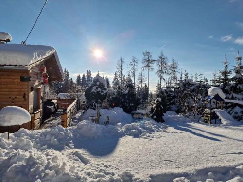 Το Holiday home in St Michael Lavanttal 39497 τον χειμώνα