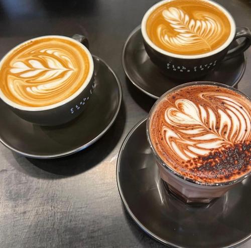 three cups of coffee sitting on plates on a table at Pokolbin Village Estate in Pokolbin