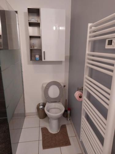 une petite salle de bain avec toilettes et lavabo dans l'établissement Charmant Studio La Ville Du Bois, à La Ville-du-Bois