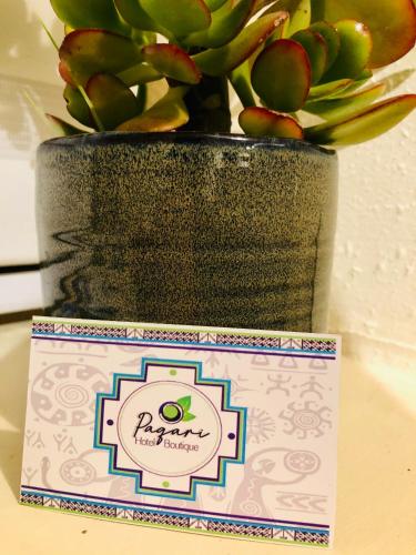 a black vase with a potted plant in it at Hotel Boutique "PAQARI" in Vallenar