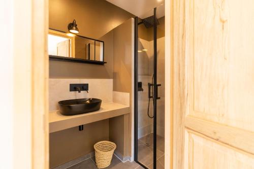 W łazience znajduje się umywalka i lustro. w obiekcie Domaine Egenia w mieście Roussillon