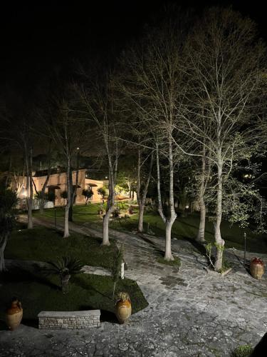 un parque de noche con un montón de árboles en Dimora Il Tiglio- mini appartamenti, en Lecce