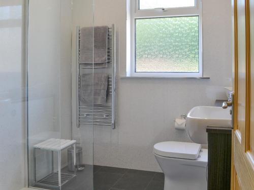 a bathroom with a toilet and a sink and a window at Riverside Cottage in Boreland