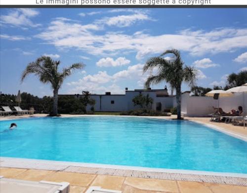 Room in BB - Spacious quadruple room in ancient Masseria near the sea in a quiet olive trees