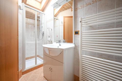 a bathroom with a sink and a shower at Majon Fior de Bosch 2 in Campitello di Fassa