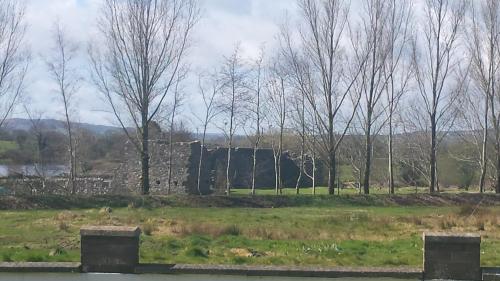a field with trees and a stone wall at The Derg Arms B&B in Castlederg