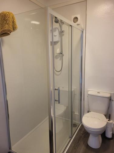 a bathroom with a toilet and a glass shower at Troon Beach Town Golf Apartment Troon Ayrshire in Troon