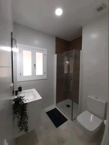 a bathroom with a shower and a toilet and a sink at Casa Playa Caleta, a 4 minutos de la playa in Cádiz