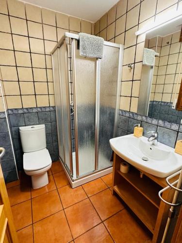 a bathroom with a shower and a toilet and a sink at Pirineos como en casa in Bielsa
