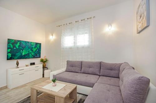 Apartmani Rokov