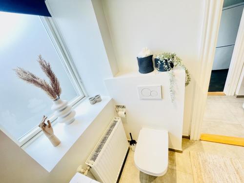 a bathroom with a toilet and a window at aday - Charming Studio close to the Football Stadium in Aalborg