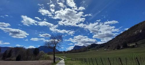a road in a field with a tree and clouds at Casa Vacanze Cillà in Comano Terme