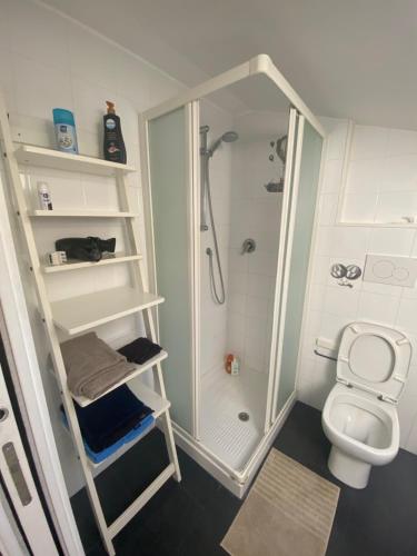 a bathroom with a shower and a toilet at Bogliasco Wine Loft in Bogliasco