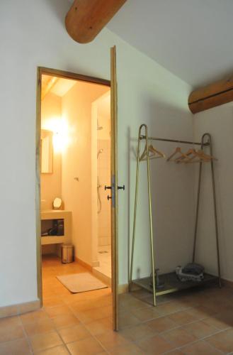 a bathroom with a shower and a mirror in a room at Le Mas des Perrines Maison d’Hôtes in Pernes-les-Fontaines