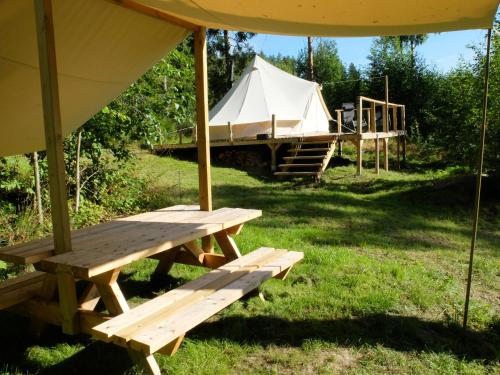 Glamping tent in a forest, lake view